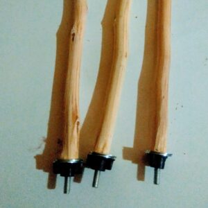 Doğal Kuş Tüneği