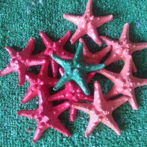 20 Akvaryum Dekoru - Yıldız Dekor