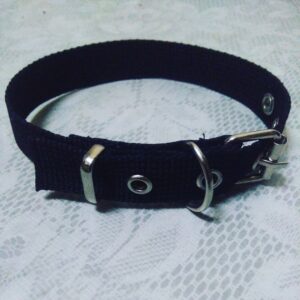 Köpek Boyun Tasması