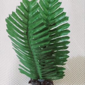 Yeşil Akvaryum Bitkisi